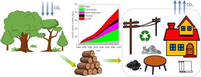 The potential for storing carbon by harvested wood products